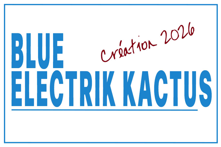 Spectacle de rue : BEK